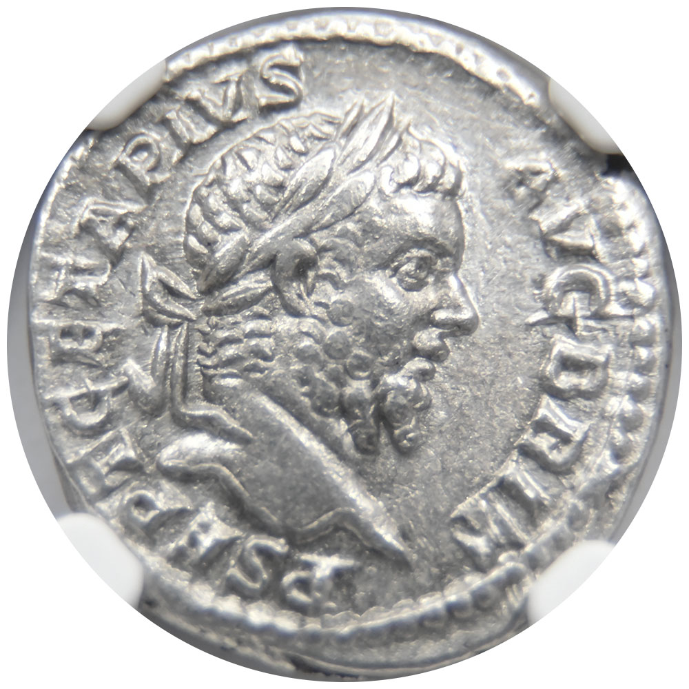 ローマ帝国 AD209-211 プスブリウス・セプティミウス・ゲタ・アウグストゥ デナリウス 銀貨 NGC XF 女神エクイティ 6155352013