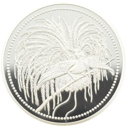 coinimage