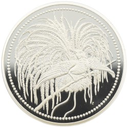coinimage