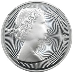 coinimage