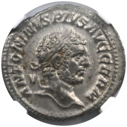 coinimage